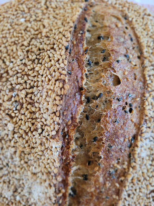 Sesame Red Fife Sourdough